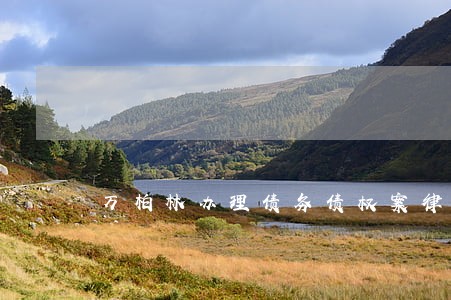 万柏林办理债务债权案律师哪家好 万柏林办理债务债权案律师哪家好