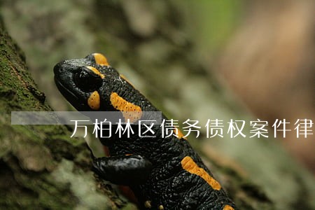 万柏林区债务债权案件律师有哪些 万柏林区债务债权案件律师有哪些
