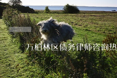 万柏林区债务律师咨询热线 万柏林区债务律师咨询热线