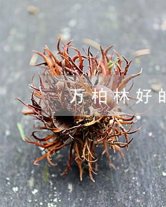 万柏林好的债务债权案律师事务所 万柏林好的债务债权案律师事务所