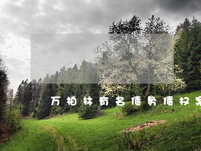万柏林有名债务债权案律师事务所