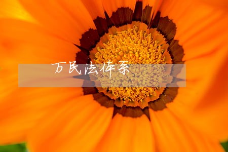 万民法体系 万民法体系