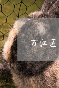 万江区免费法律咨询热线 万江区免费法律咨询热线
