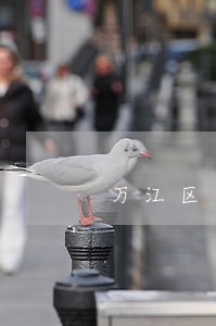 万江区劳动发生纠纷律师公司地址 万江区劳动发生纠纷律师公司地址