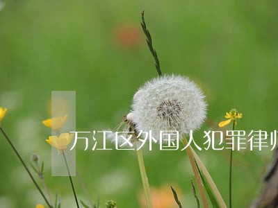 万江区外国人犯罪律师 万江区外国人犯罪律师