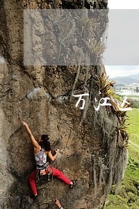万江区股权纠纷律师咨询 万江区股权纠纷律师咨询