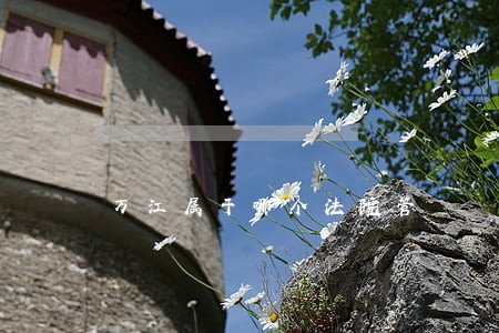 万江属于哪个法院管 万江属于哪个法院管
