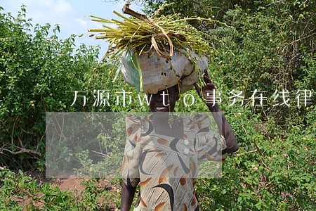 万源市wto事务在线律师 万源市wto事务在线律师
