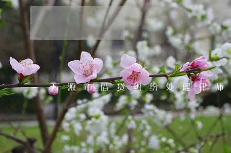 万源市借贷纠纷处理律师 万源市借贷纠纷处理律师
