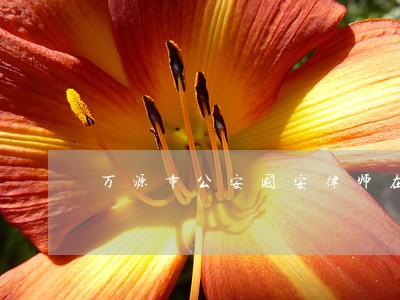 万源市公安国安律师在线免费咨询 万源市公安国安律师在线免费咨询