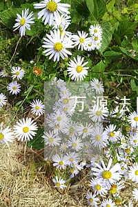 万源法院强制搬腾 万源法院强制搬腾
