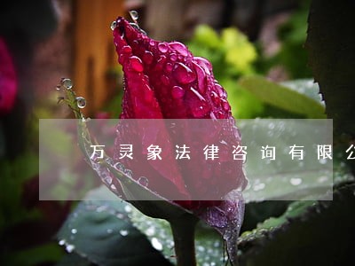 万灵象法律咨询有限公司 万灵象法律咨询有限公司