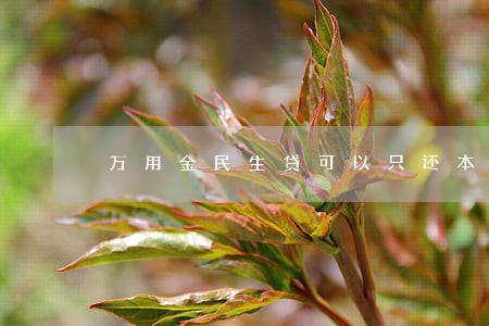 万用金民生贷可以只还本金么 万用金民生贷可以只还本金么