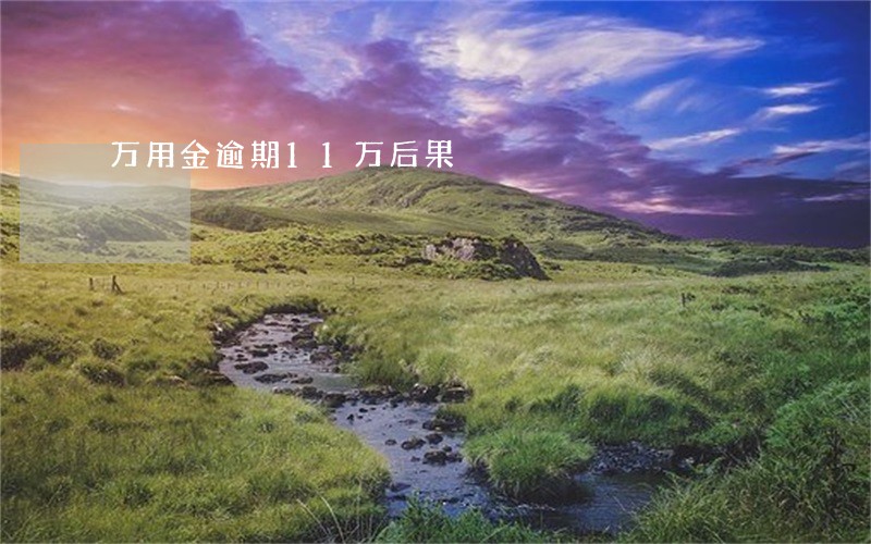 万用金逾期11万后果 万用金逾期11万后果