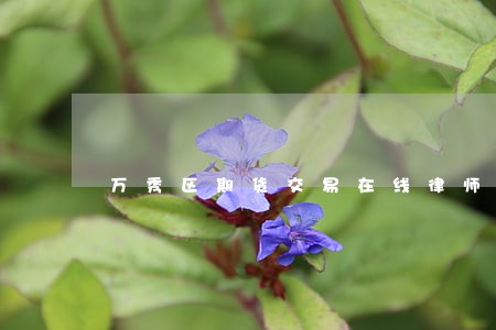 万秀区期货交易在线律师 万秀区期货交易在线律师