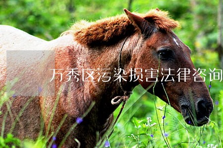 万秀区污染损害法律咨询热线 万秀区污染损害法律咨询热线