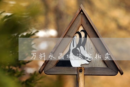万科水晶城法院拍卖 万科水晶城法院拍卖