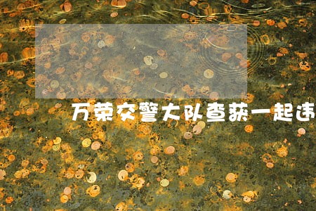 万荣交警大队查获一起违法行为 万荣交警大队查获一起违法行为