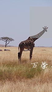 万荣县工伤赔偿律师咨询电话 万荣县工伤赔偿律师咨询电话
