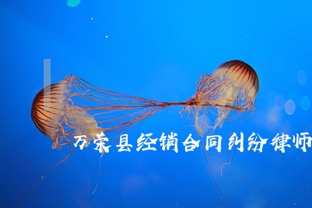 万荣县经销合同纠纷律师 万荣县经销合同纠纷律师