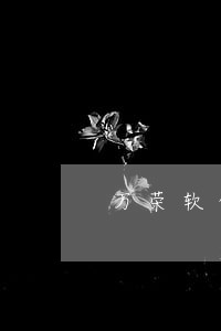 万荣软件版权纠纷律师