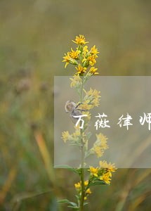万薇律师先进事迹 万薇律师先进事迹