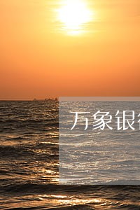万象银行信用卡逾期还款