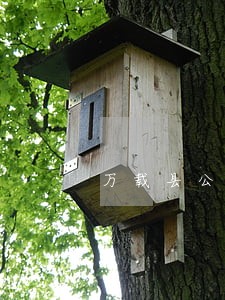 万载县公司破产律师在线咨询 万载县公司破产律师在线咨询