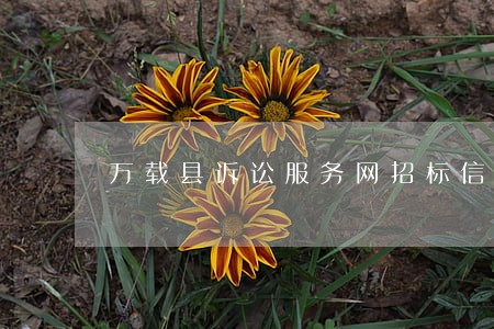 万载县诉讼服务网招标信息 万载县诉讼服务网招标信息