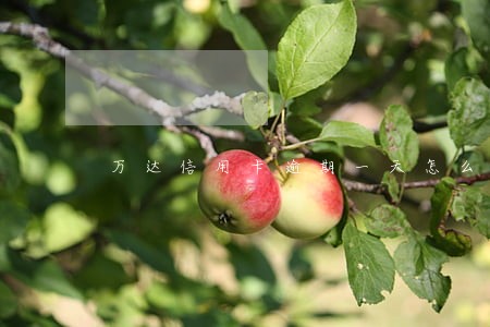 万达信用卡逾期一天怎么处理 万达信用卡逾期一天怎么处理