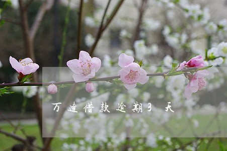 万达借款逾期3天