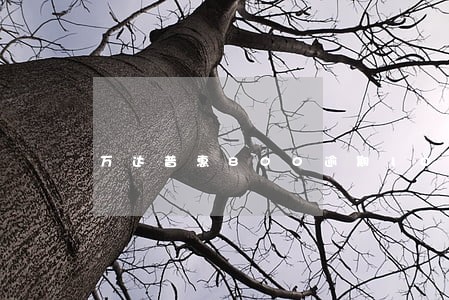 万达普惠800逾期10天