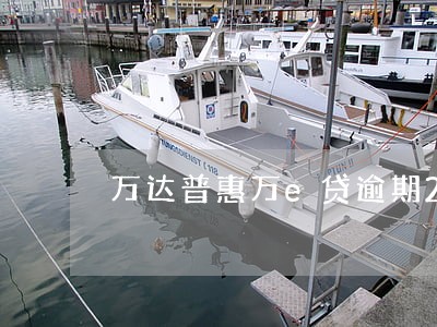 万达普惠万e贷逾期28天 万达普惠万e贷逾期28天