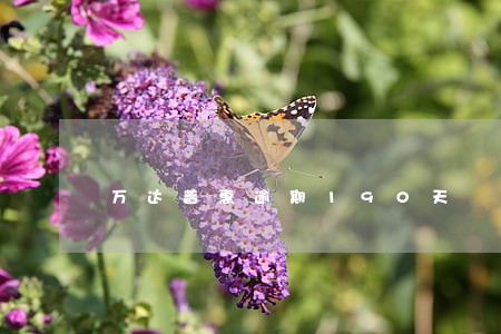 万达普惠逾期190天 万达普惠逾期190天