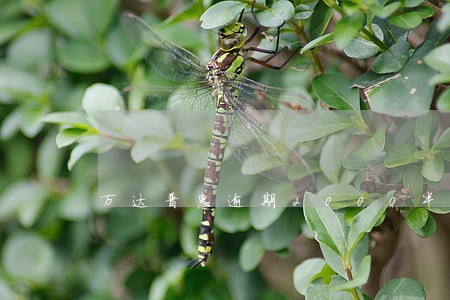 万达普惠逾期2000半年 万达普惠逾期2000半年