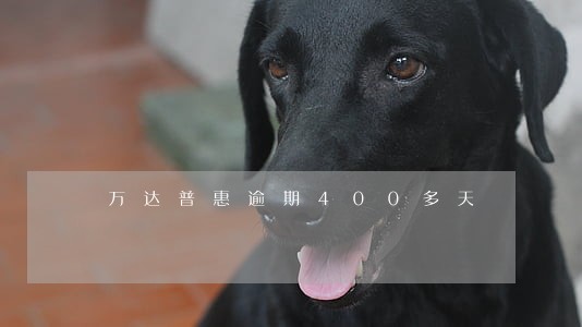 万达普惠逾期400多天 万达普惠逾期400多天
