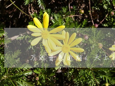 万达普惠逾期6天上征信吗