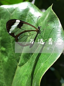 万达普惠逾期后多久可以贷款 万达普惠逾期后多久可以贷款