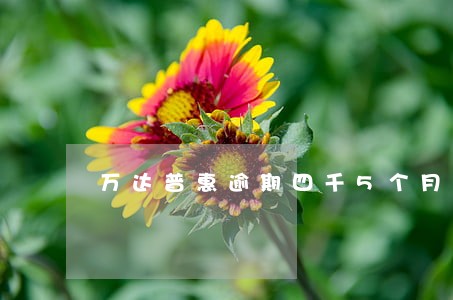 万达普惠逾期四千5个月 万达普惠逾期四千5个月