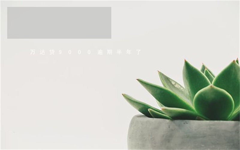 万达贷9000逾期半年了