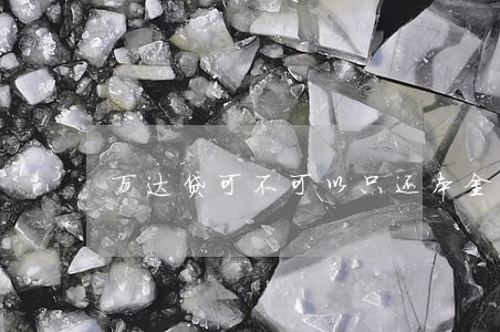 万达贷可不可以只还本金 万达贷可不可以只还本金