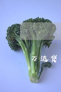 万达贷和中融信托逾期怎么办 万达贷和中融信托逾期怎么办