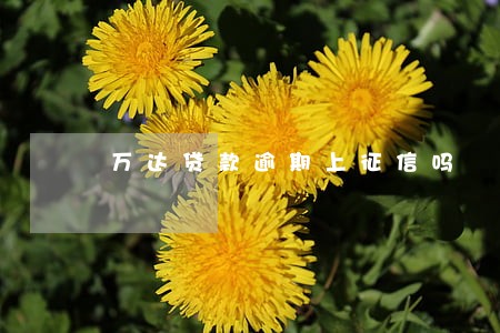 万达贷款逾期上征信吗 万达贷款逾期上征信吗