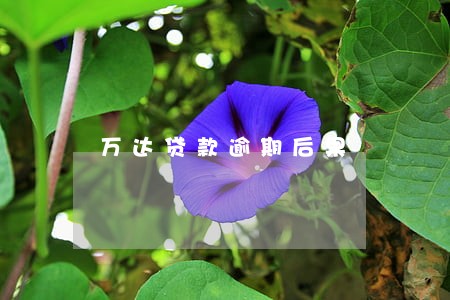 万达贷款逾期后果 万达贷款逾期后果