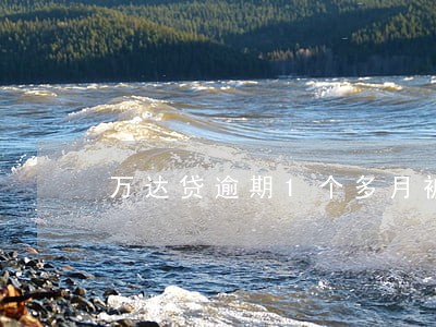 万达贷逾期1个多月被立案 万达贷逾期1个多月被立案