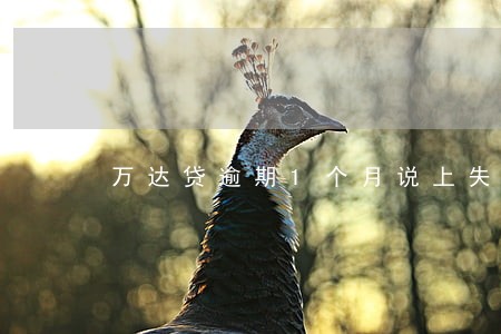 万达贷逾期1个月说上失信名单 万达贷逾期1个月说上失信名单
