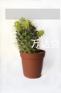 万达贷逾期1周额度被冻结了 万达贷逾期1周额度被冻结了