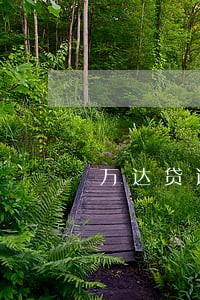 万达贷逾期1天催收 万达贷逾期1天催收