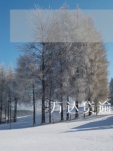 万达贷逾期3天就打联系人吗 万达贷逾期3天就打联系人吗