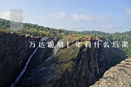 万达逾期1年有什么后果 万达逾期1年有什么后果